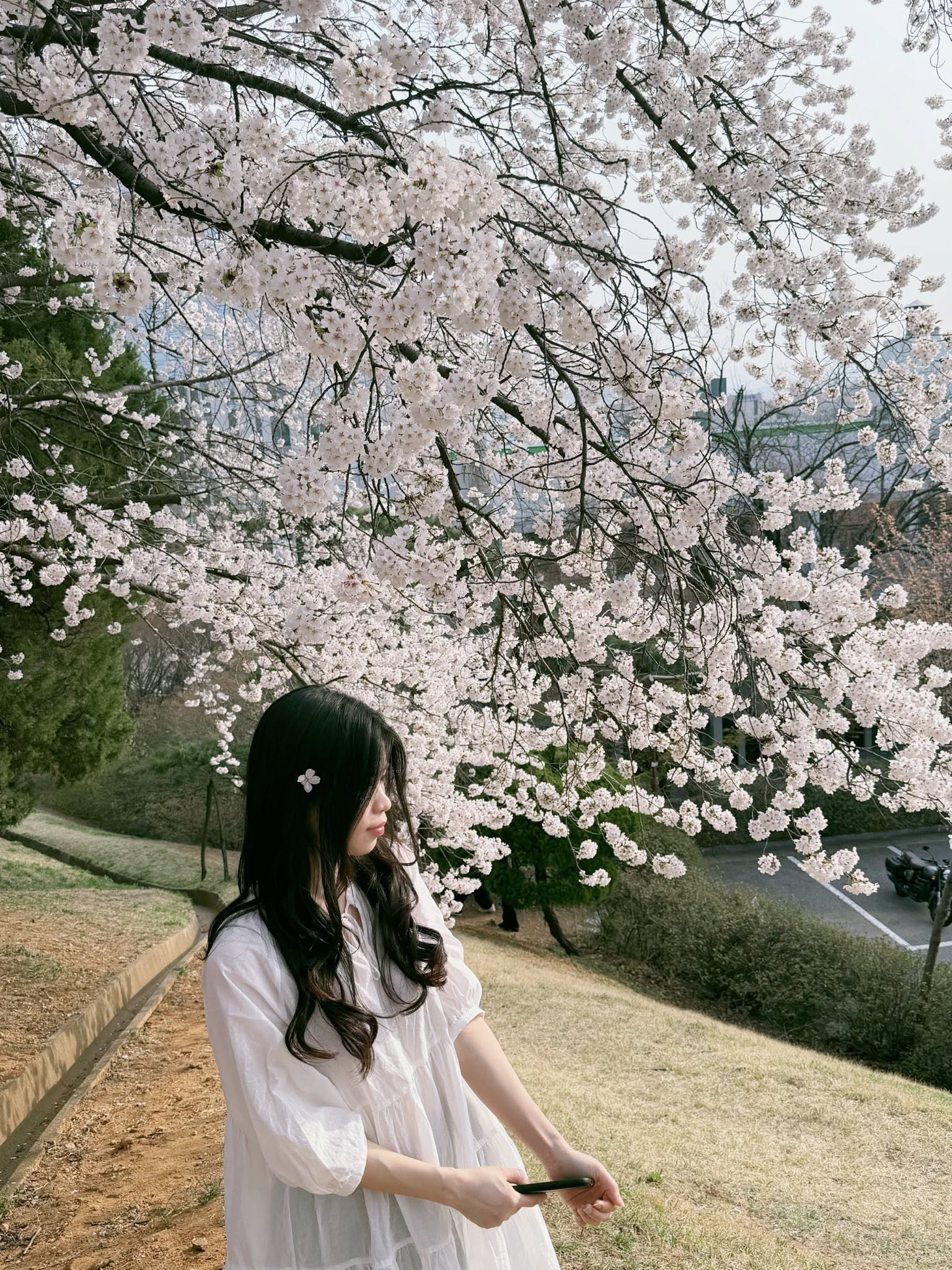Beuaty 03 - 14